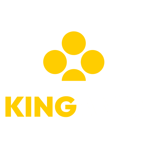 Kingamo-500x500-3