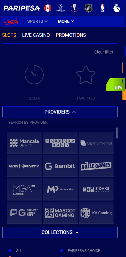 Mobile Application