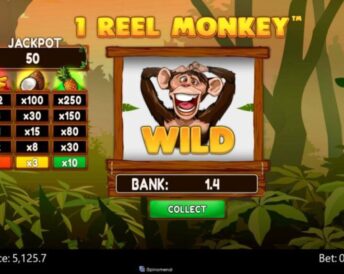 1 Reel Monkey