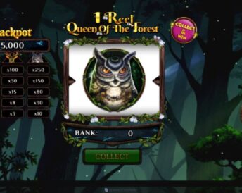 1 Reel Queen Of The Forest