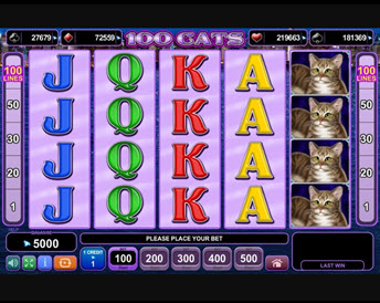 100 cats