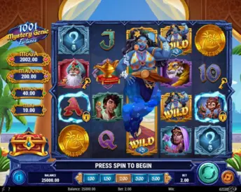 1001 Mystery Genie Fortunes