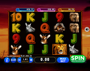 101 Lions