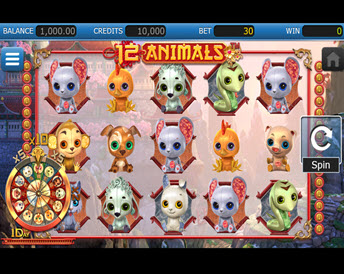 12 animals