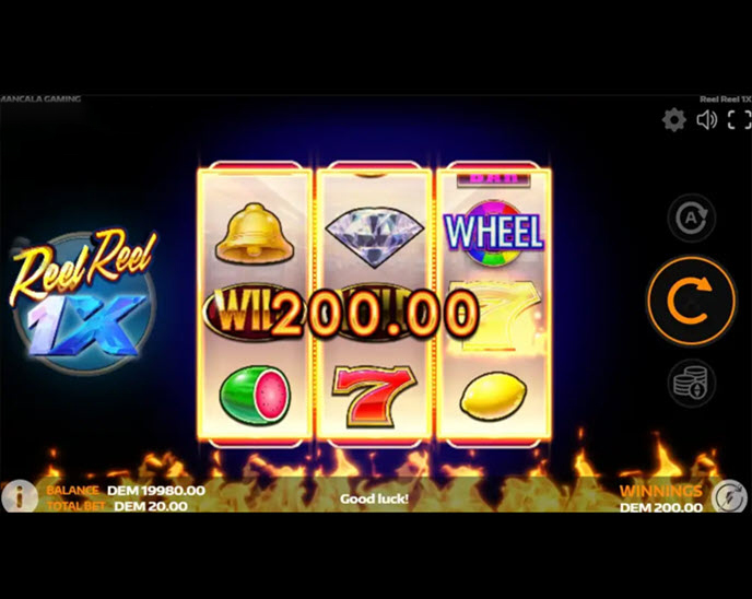1x reel reel