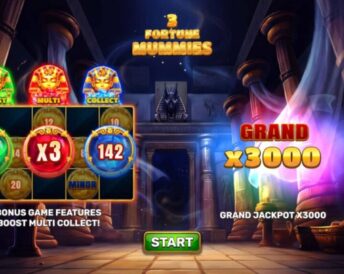 3 Fortune Mummies