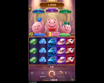 3 Lucky Piggy