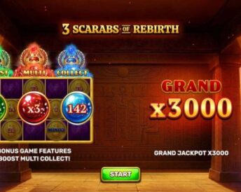 3 Scarabs Of Rebirth