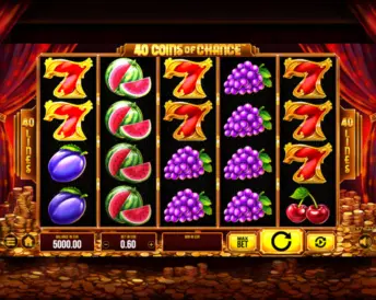 40 Coins of Chance