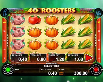 40 roosters