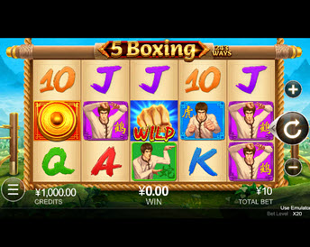 5 boxing