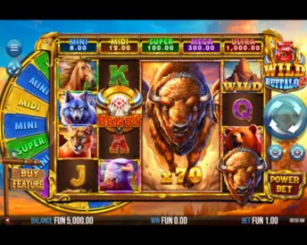 5 Wild Buffalo 2