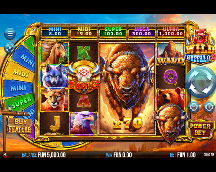 5 wild buffalo 2