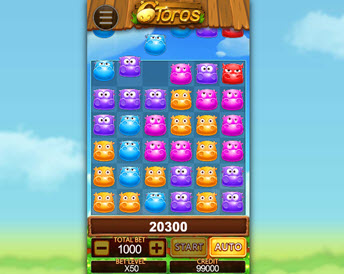 6 toros