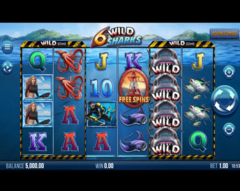 6 wild sharks