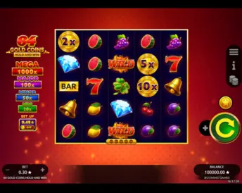 64 Gold Coins Hold and Win