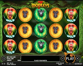7 monkeys
