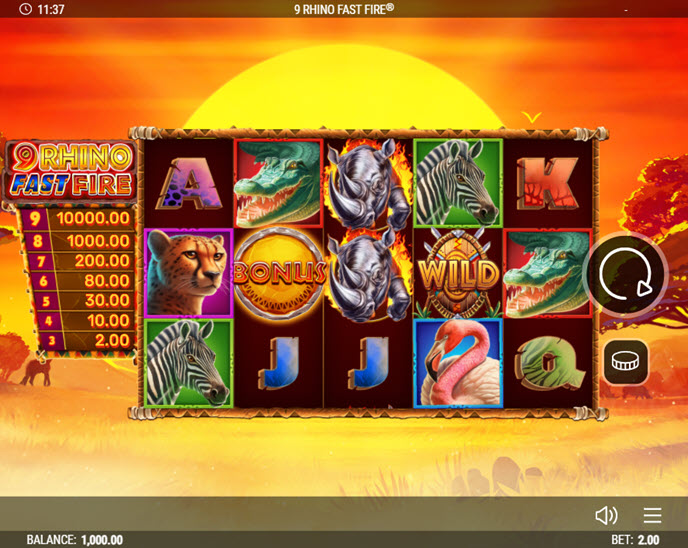 9 rhino fast fire