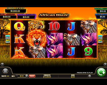 african blaze