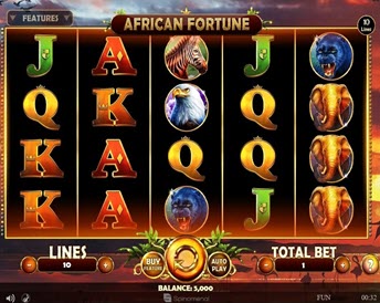african fortune