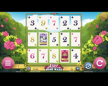 Alice of the Rose Maze