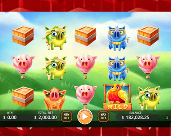 angry piggies