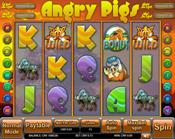 angry pigs