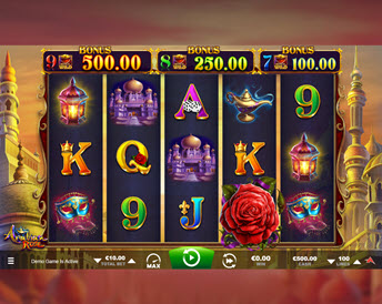 arabian rose (ainsworth)