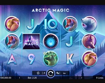 arctic magic