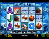 artic adventure