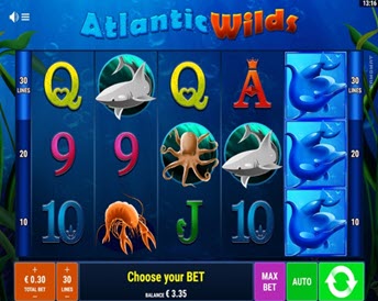 atlantic wilds
