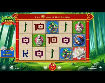 Bamboo Bear Deluxe