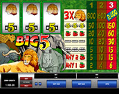 big 5