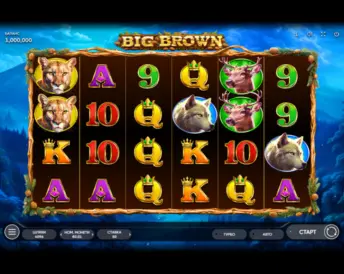 Big Brown