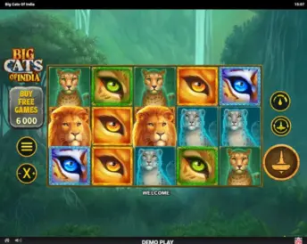 Big Cats of India