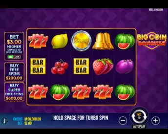 Big Coin Bonanza