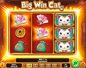 big win cat