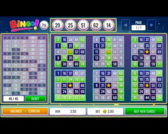 Bingo 75 Ball