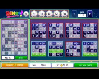 Bingo 80 Ball