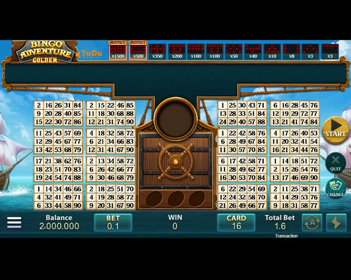 bingo adventure