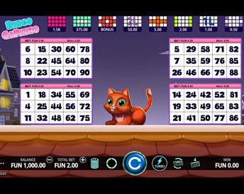 bingo catinho