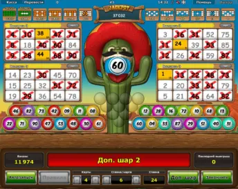 Crazy Cactus Bingo