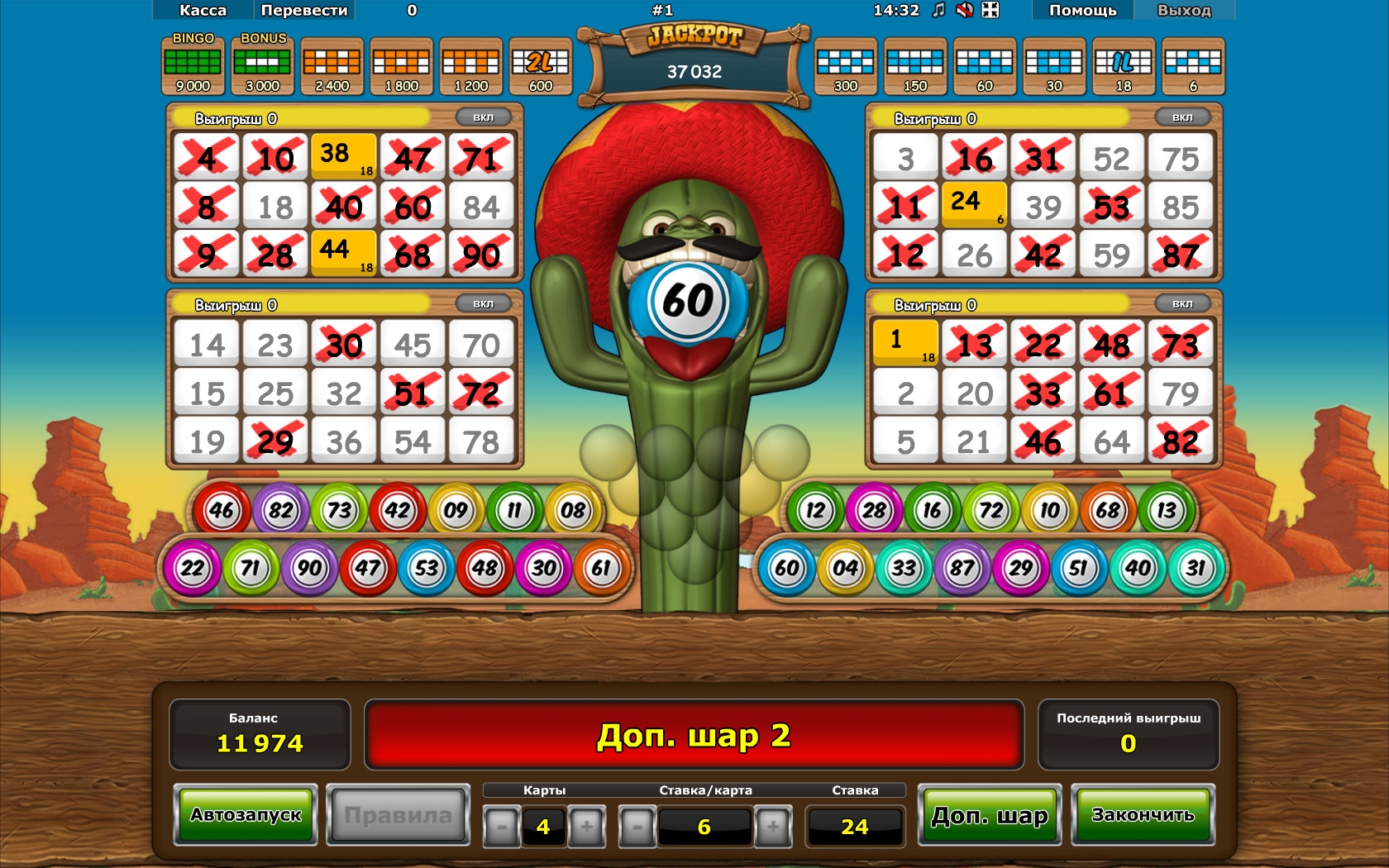 crazy cactus bingo