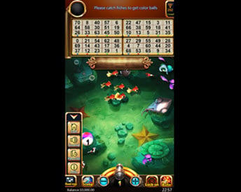 Bingo Fishing