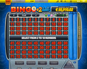 bingo+2ball