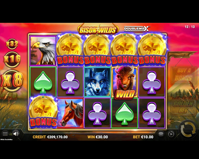 bison wilds doublemax