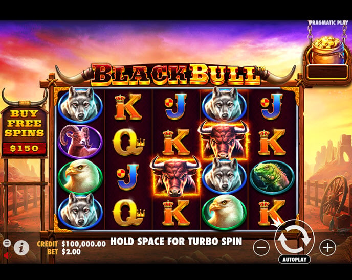 black bull