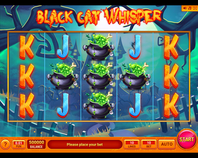 black cat whisper