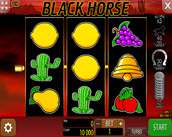 black horse