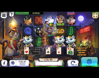 blackjack cat
